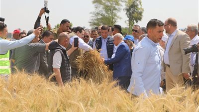 لتقليل الفاقد.. وزير الزراعة يوفر 20 ماكينة لحصاد القمح آليا بالشرقية 