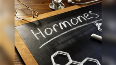 أسوأ 5 أطعمة تؤثر سلبا على صحة هرمونات الجسم.. هل تسبب السرطان؟