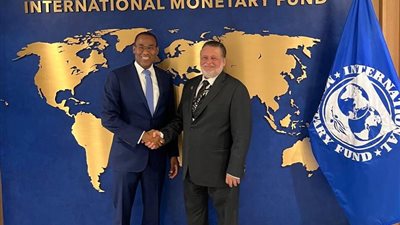 محافظ البنك المركزي المصري يلتقي نائب المدير العام لصندوق النقد الدولي