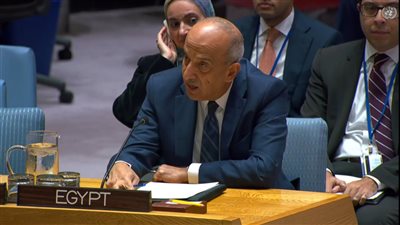 مندوب مصر بمجلس الأمن: الطريق للسلام يبداء بالتخلي عن فرض الحلول باستخدام القوة