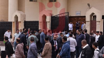 رفع أولى جلسات محاكمة المتهم بهتك عرض طفل دمنهور