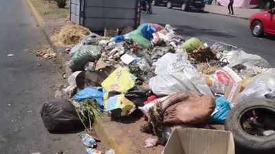 “البيئة” تنفذ حملة للتخلص من المخلفات والتوعية بمحمية نبق الطبيعية بجنوب سيناء