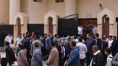 محامي طفل دمنهور لـ