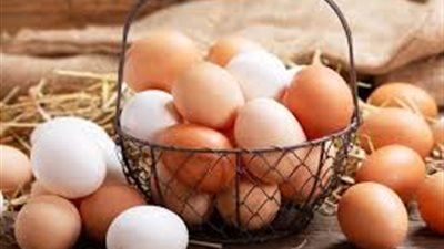 التموين: طبق البيض انخفض لـ120 جنيهاً والسكر بـ30 جنيها