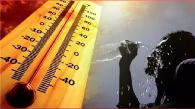 حالة الطقس.. الأرصاد تكشف درجات الحرارة اليوم السبت