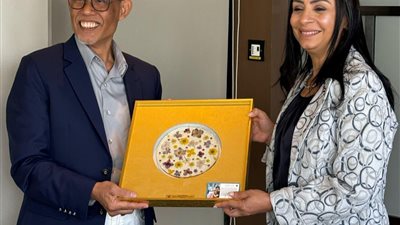 وزيرة التضامن الاجتماعي تلتقي وزير الأسرة والتنمية الاجتماعية بسنغافورة