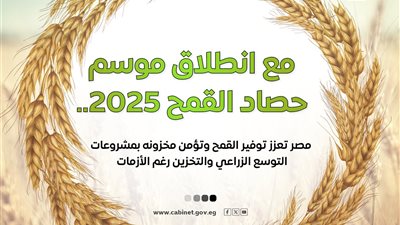 الحكومة تستعرض جهود تعزيز الإنتاج المحلي من القمح وتأمين مخزونه 