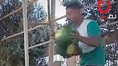 رقصة البطيخة.. حين يتحوّل الشقاء إلى فنّ (فيديو)