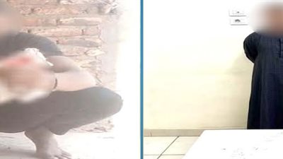 اعترافات المتهم بالتعدي على قطة: بحقق مكاسب مالية من المشاهدات