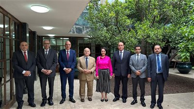 مشروع إقليمي بين مصر والأردن والسعودية.. وزير الري يكشف التفاصيل الكاملة