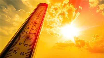 5 أفكار لوجبات خفيفة ومنعشة.. مثالية لأيام الصيف الحارة