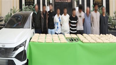 سقوط عناصر إجرامية من عصابة 