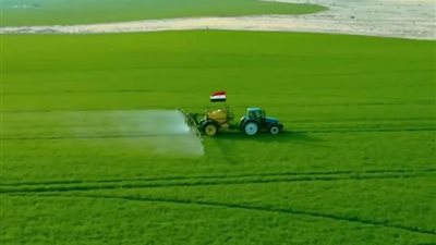 فكرة بـ100 مليون.. اختراع شاب مصري يحل أزمة عالمية (فيديو)