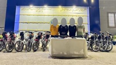 سقوط تشكيلين عصابيين بالوادي الجديد والدقهلية تورطا في 31 جريمة سرقة