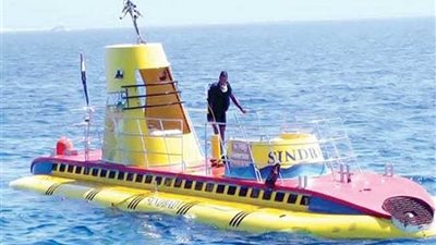 محافظ البحر الأحمر عن 