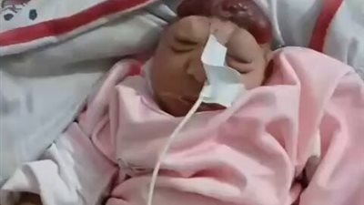 فلسطينية ولدت 