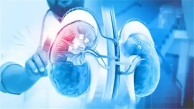 أبرزها حبس البول لفترة طويلة..عادات يومية خطيرة تسبب تلف الكلى