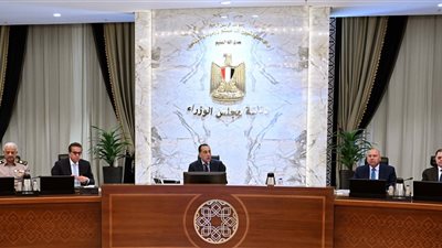 الحكومة توافق على لائحة صندوق تحسين الخدمة بمستشفيات ومراكز الصحة النفسية