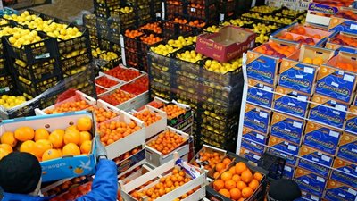 إشادة دولية بصادرات مصر من الموالح.. والزراعة: فتح أسواق جديدة بأمريكا اللاتينية