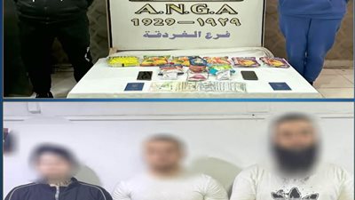 ضبط تشكيلين عصابيين من جنسيات أجنبية بتهمة تصنيع وتهريب مخدر الآيس