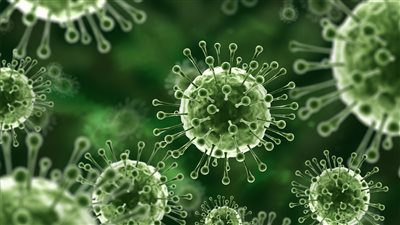 فيروس نيباه يُصيب سيدة هندية.. ما مدى خطورته وكيف تحمي نفسك؟