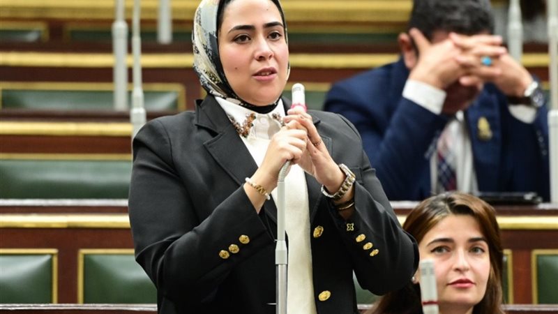 النائبة سارة النحاس