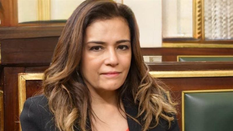 النائبة سحر طلعت