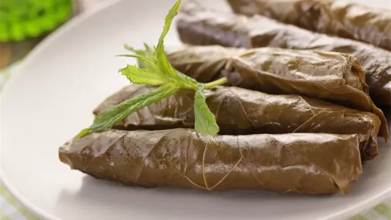 فوائد ورق العنب