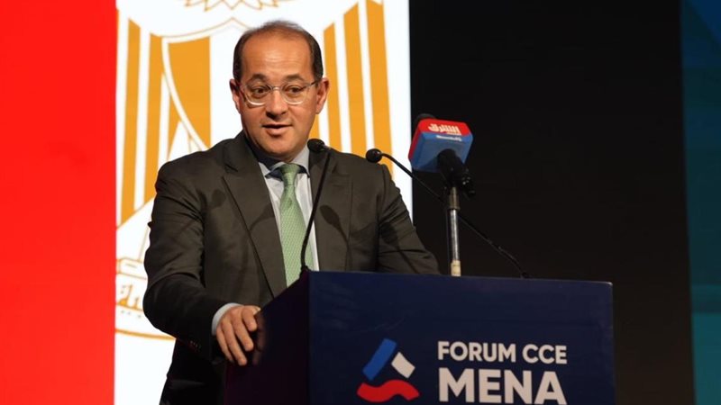 وزير المالية