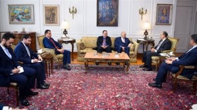 وزير الخارجية يستقبل رئيس المفاوضات الحكومية لإصلاح مجلس الأمن