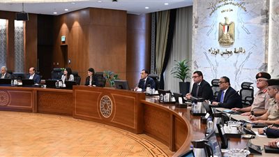 رئيس الوزراء يتابع أعمال اللجنة الخاصة بحوكمة الاستثمارات العامة بالدولة
