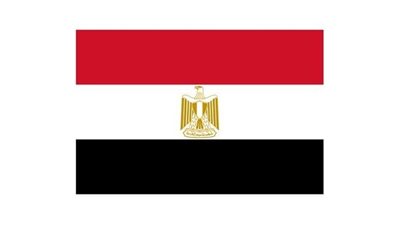 مصر تدين الهجوم على الجيش الإكوادوري وتقدم التعازي