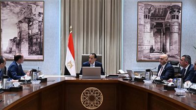 مدبولي يستعرض جهود تعزيز استدامة 