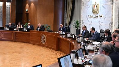 مدبولي يناقش برنامج رد الأعباء التصديرية مع اللجنة الاستشارية