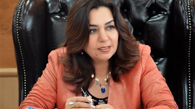 وزيرة التنمية المحلية تبحث مع رئيس “فولبرايت مصر” مجالات التعاون المشترك