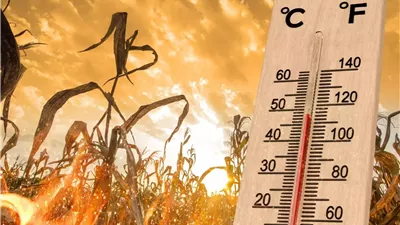 الأرصاد تكشف حقيقة تعرض البلاد لموجة شديدة الحرارة السبت المقبل 