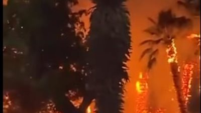 الدفع بـ10سيارات إطفاء لإخماد حريق هائل نشب في أشجار وحشائش بجوار كورنيش النيل