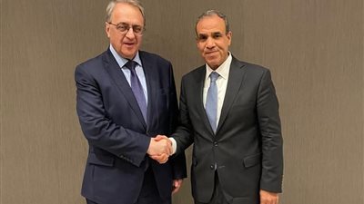مصر وروسيا تبحثان التعاون الثنائي وتطورات الأوضاع في غزة وليبيا