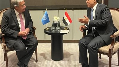 وزير الخارجية يلتقي غوتيريش ويؤكد دعم مصر لوقف إطلاق النار في غزة