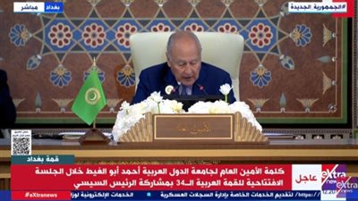 أبو الغيط: من العار أن يصمت العالم أمام جرائم إسرائيل