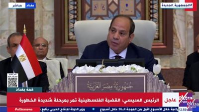 البلبيسي: قمة بغداد محطة محورية لمواجهة تحديات المنطقة وتعزيز التضامن العربي