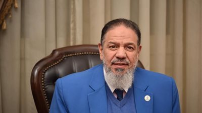 تأجيل دعوى شطب منتصر الزيات من نقابة المحامين 