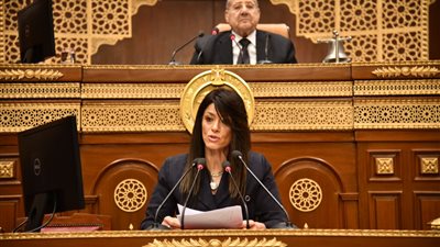 وزيرة التخطيط أمام 