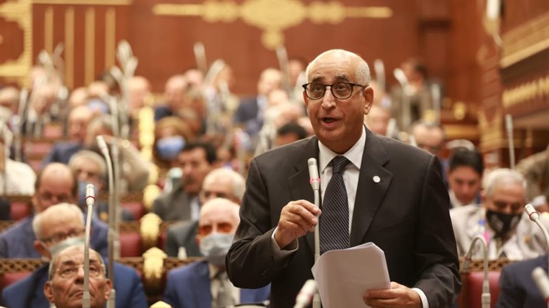 النائب حسانين توفيق