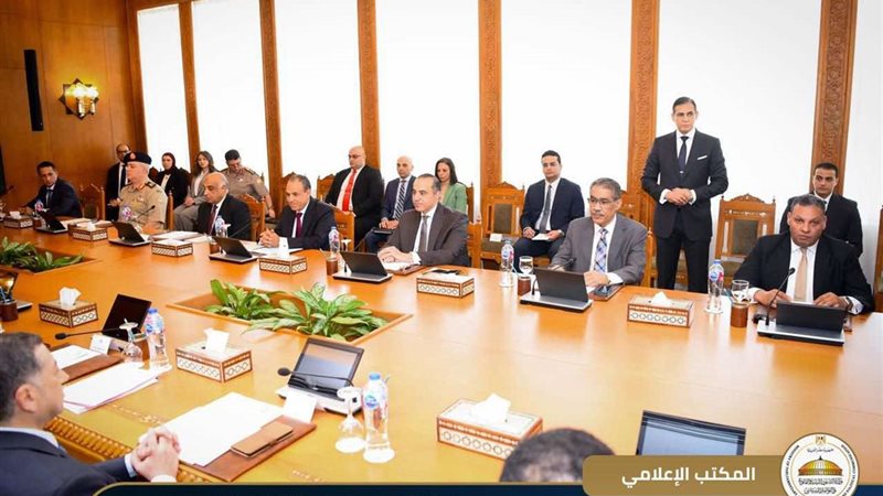 المستشار محمود فوزي