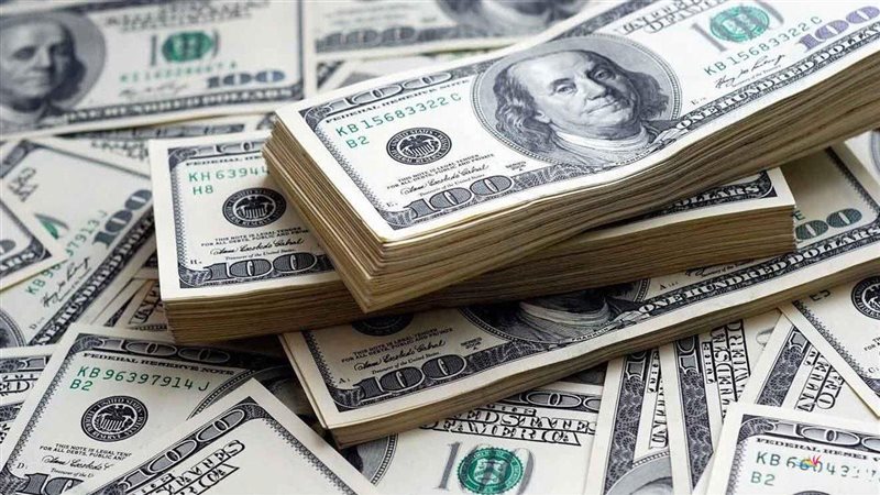 سعر الدولار في مصر