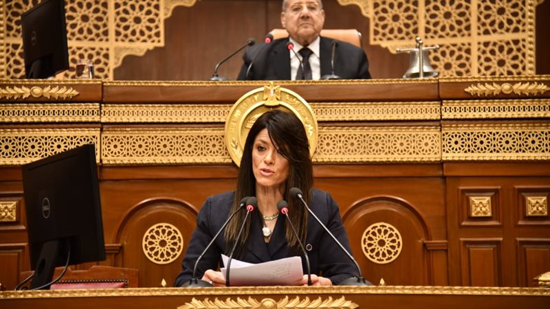 وزيرة التخطيط