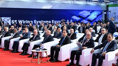 رئيس الوزراء: الحكومة حريصة على توفير الدعم لشركة 