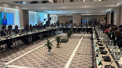 عبدالغفار من جنيف: التصنيع المحلي للمنتجات الصحية ضرورة استراتيجية للقارة