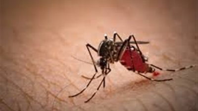  منهم اصحاب الوزن الزائد.. أشخاص أكثر عرضة للدغات البعوض